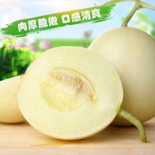 掌上瓜今日瓜沥,掌上瓜沥新鲜资讯大盘点