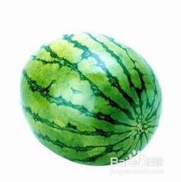 掌上瓜今日瓜沥,掌上瓜沥新鲜资讯大盘点