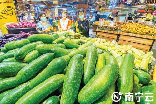 南宁今日白瓜价格行情,实惠又新鲜，市民抢购热潮来袭