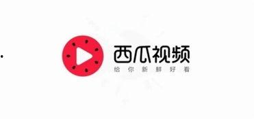 邯郸今日头条卖瓜,瓜果飘香，夏日炎炎，一起来尝鲜！