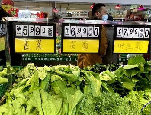 万邦今日吊瓜报价查询,市场行情一览