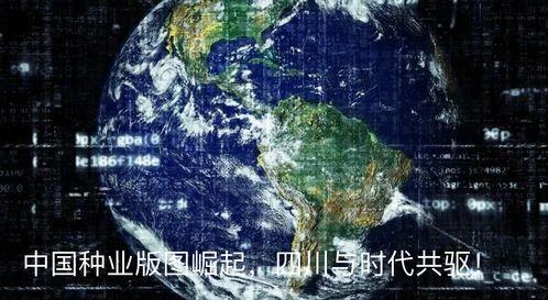 北部瓜茄今日行情,新鲜动态一览