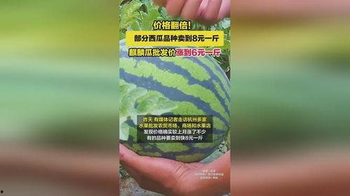 广州麒麟瓜批发今日行情,价格波动，供需两旺”