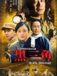 电视剧黑三角,揭秘神秘组织背后的惊心动魄