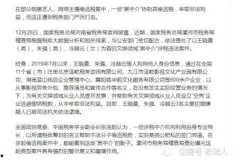 明星网红偷逃税论文,明星网红偷逃税现象剖析与治理策略