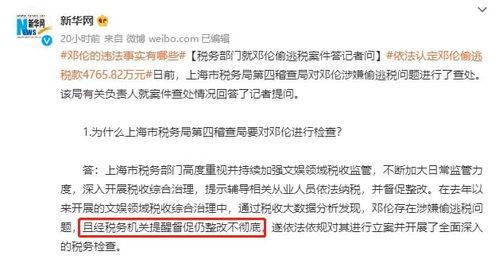 明星网红偷逃税论文,明星网红偷逃税现象剖析与治理策略