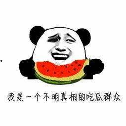 瓜哥今日吃瓜是什么意思,揭秘娱乐圈最新热点事件