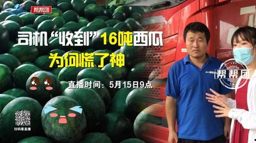 今日份吃瓜挑战全人类,今日份挑战全人类