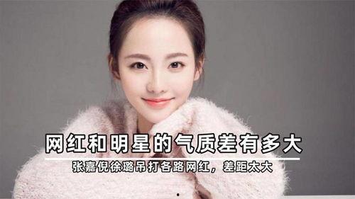 明星网红差异有多大啊,差异显著的娱乐圈生态对比