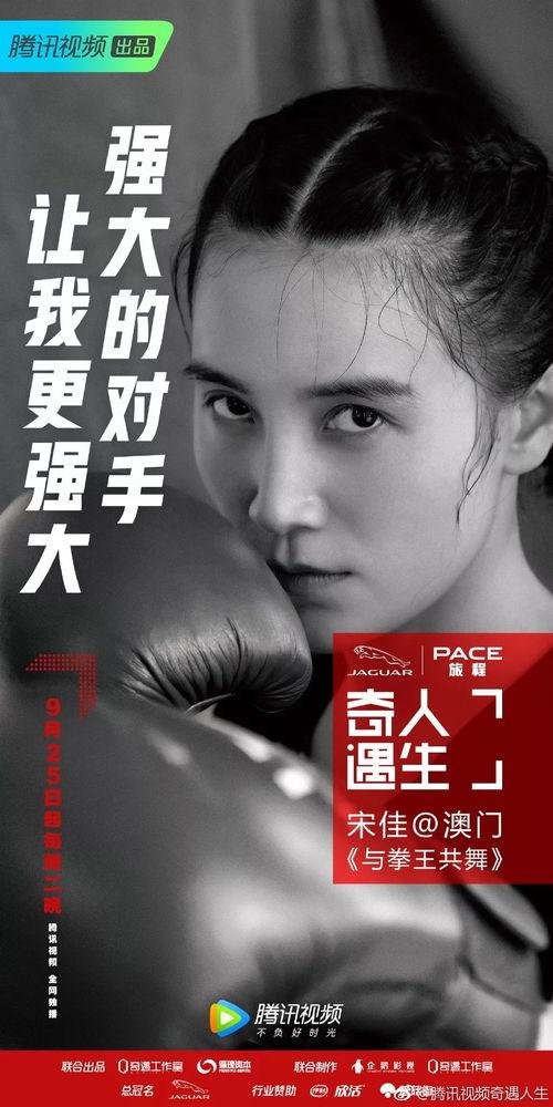 明星网红区别文案怎么写,揭秘两者文案差异背后的魅力与策略