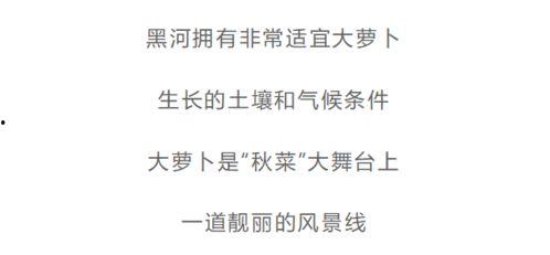 今日份麻瓜生活说说文案,揭秘今日份魔法生活的点点滴滴