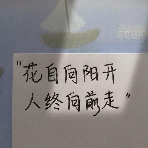 今日摘瓜文案短句图片大全,趣味盎然，创意无限
