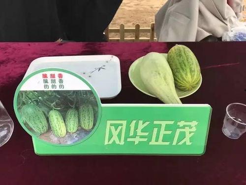博白今日头条最火的瓜,揭秘今日头条热议焦点背后的真相