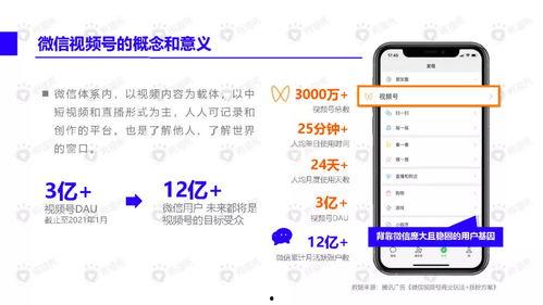明星网红拜年视频素材下载,欢乐新春，祝福满满
