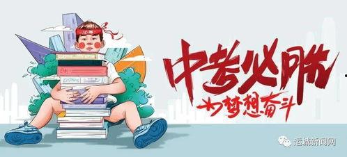 茄瓜行情今日行情最新消息,今日最新动态，价格走势解析