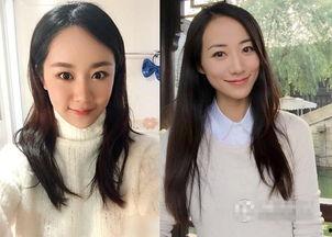 明星网红吃菌子视频播放,明星网红挑战吃菌子，视频播放量飙升揭秘