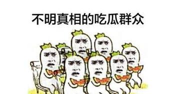 今日吃瓜 群众,群众视角下的热点事件盘点