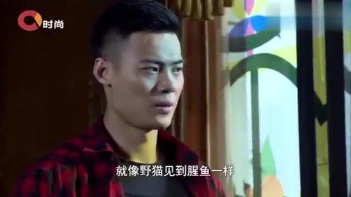 明星网红恶毒后妈是谁,明星网红背后的恶毒后妈之谜
