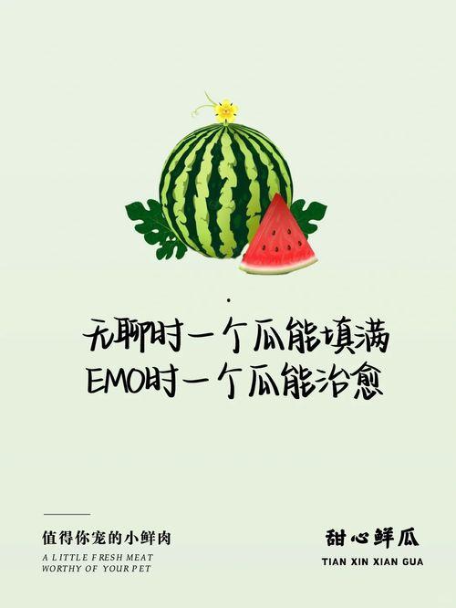 今日望瓜新闻,聚焦今日热点，洞察社会脉动