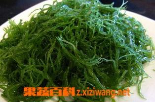 佛手瓜龙须菜今日价,养生佳品价格行情一览”