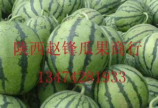 今日红星哈密瓜价格行情,红星品种今日走俏，市场热度攀升