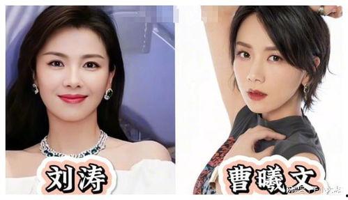 明星网红是什么意思,网络时代的璀璨星河