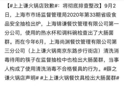 批判明星网红赚钱作文,明星网红财富背后的批判之声