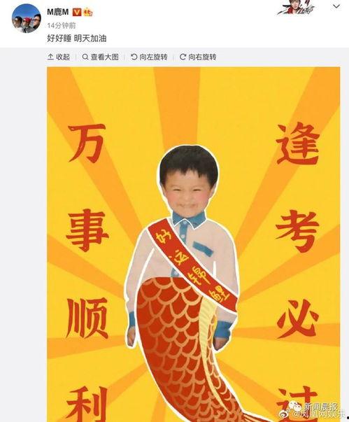 靠时代红利发财明星网红,时代红利下的明星网红财富传奇
