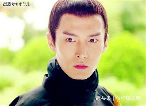 刘姓明星网红是谁呀,揭秘网络红人背后的故事