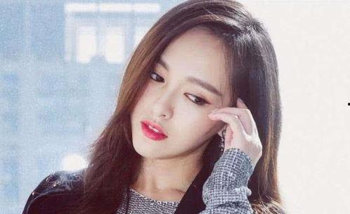 刘姓明星网红是谁呀,揭秘网络红人背后的故事