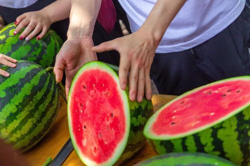 五一今日吃瓜-大学生,大学生视角下的校园生活点滴