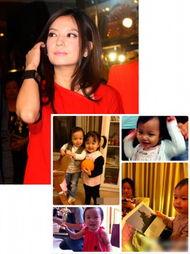 明星网红合拍视频大全集,明星网红合拍视频大全集精彩回顾