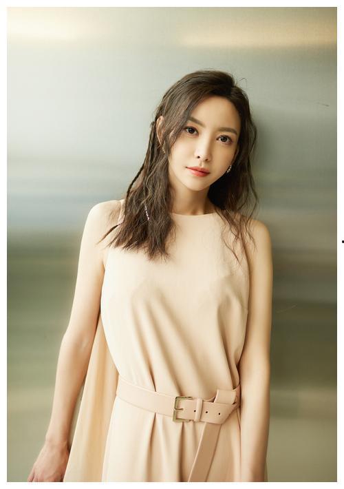 明星网红合拍视频大全集,明星网红合拍视频大全集精彩回顾