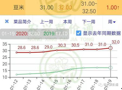 山东今日小瓜价格行情走势,今日波动解析