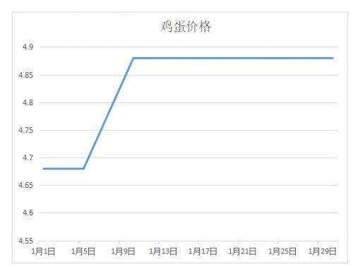 山东今日小瓜价格行情走势,今日波动解析