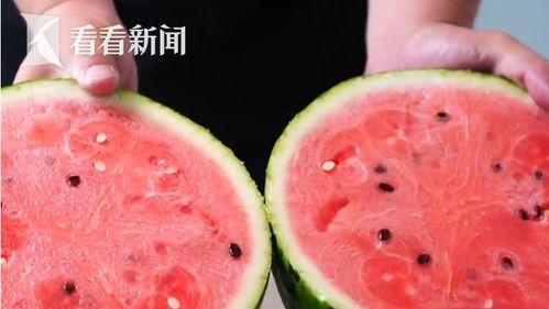 网纹瓜今日多少钱一斤,价格波动一览