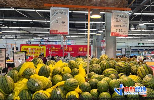 网纹瓜今日多少钱一斤,价格波动一览