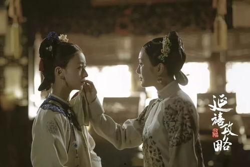 后宫今日又有什么瓜,今日最新八卦揭秘