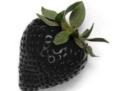 瓢瓜晒干有点黑可以吃吗,食用安全有保障