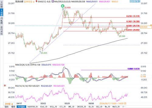 乳瓜今日行情走势分析最新,今日走势解析及未来趋势展望