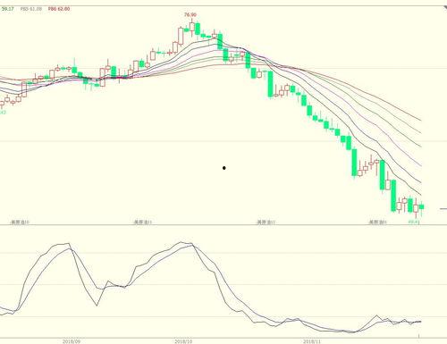 乳瓜今日行情走势分析最新,今日走势解析及未来趋势展望