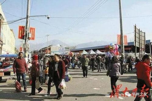 今日华州瓜坡新闻,瓜坡镇最新动态聚焦