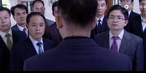 电视剧罪域,暗流涌动的正义之战