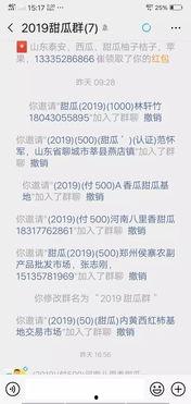 海南今日毛瓜价格行情表,新鲜直供，价格波动一览