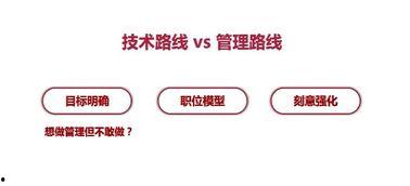 今日聊职什么瓜,揭秘校园热点事件背后的真相