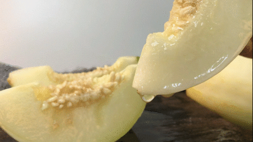 开鲁网纹瓜今日价格,市场行情持续升温