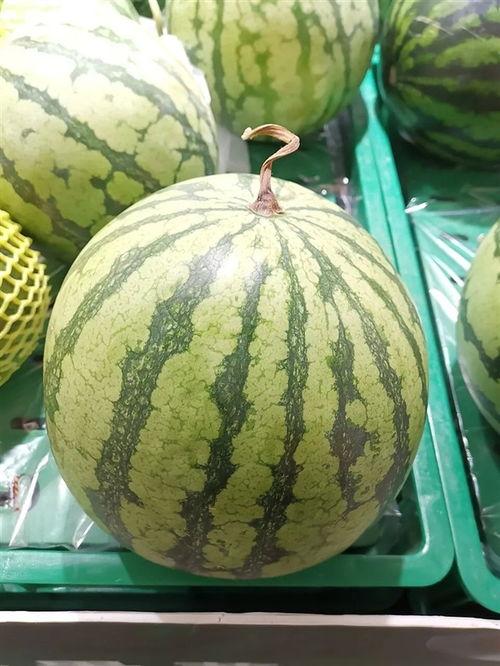 今日大瓜每日吃瓜图片,跟随吃瓜群众，揭秘娱乐圈最新热点瞬间