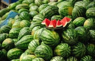 网红黑料反差吃瓜群,揭秘网络舆论的狂欢盛宴