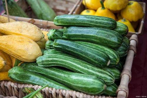 寿光今日瓜菜价,今日价格行情一览”