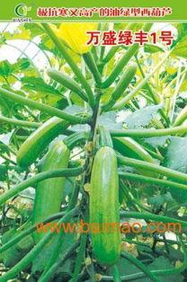 寿光今日瓜菜价,今日价格行情一览”